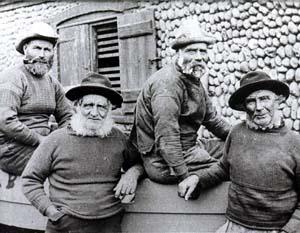 The Yow Yows